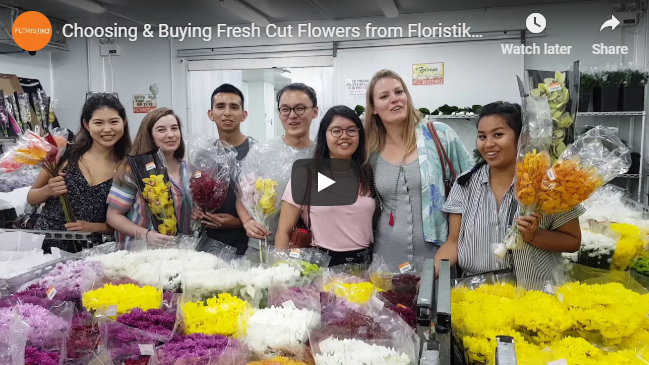 Choosing & Buying Fresh Cut Flowers from Floristika's Walk-In Cold Room
