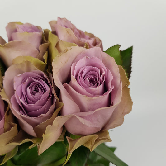 Rose Samantha Bridal 50cm - Purple