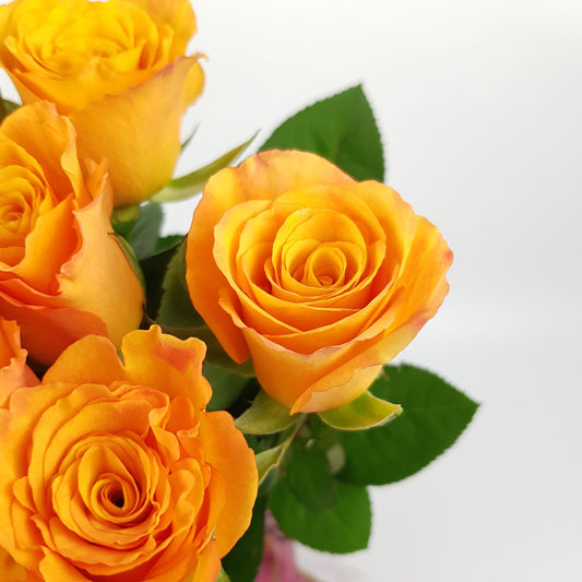 Rose - Glorious Orange (10 stems)