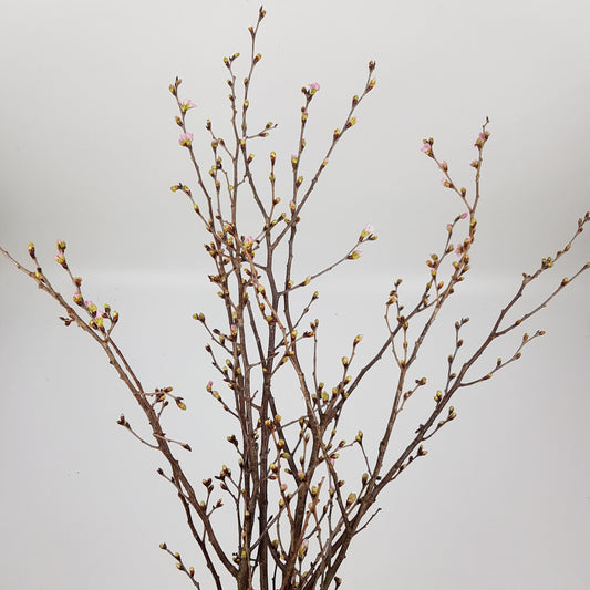 Cherry Blossom - 90cm