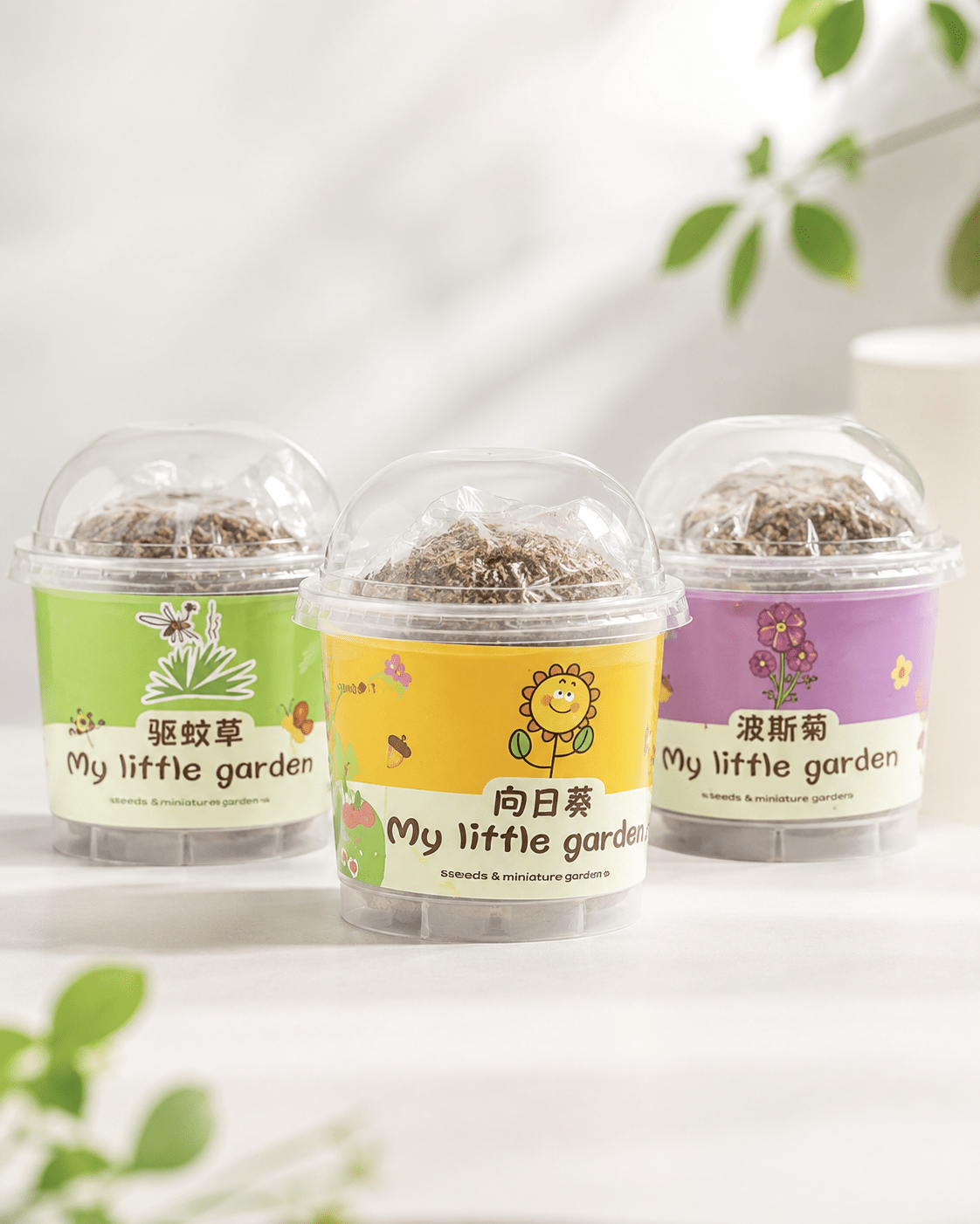 Grow-a-Surprise Plant Kit (Free Gift for Cart size RM130 & Above)