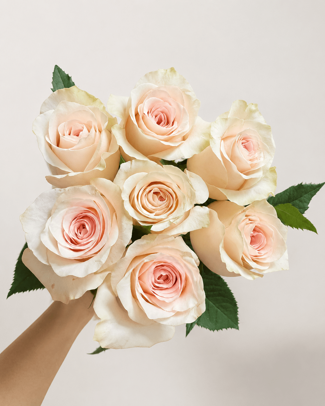 Rose - Light Peach + Cream White (10 Stems)