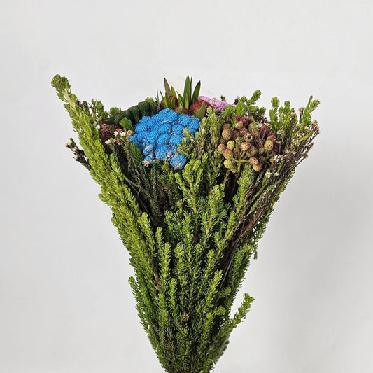 Fresh Cut Flowers at Floristika