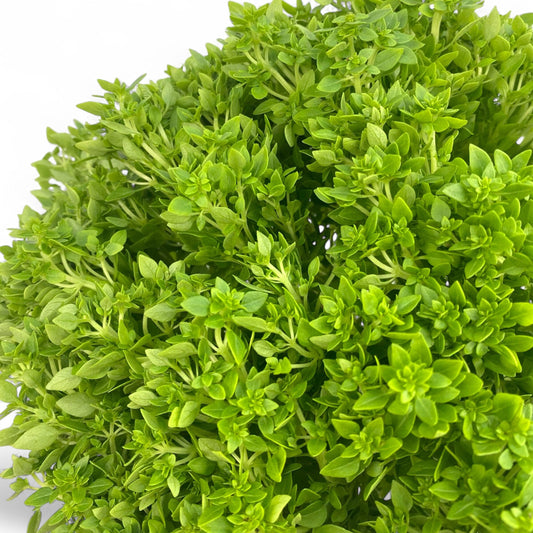 Pot Basil Mix