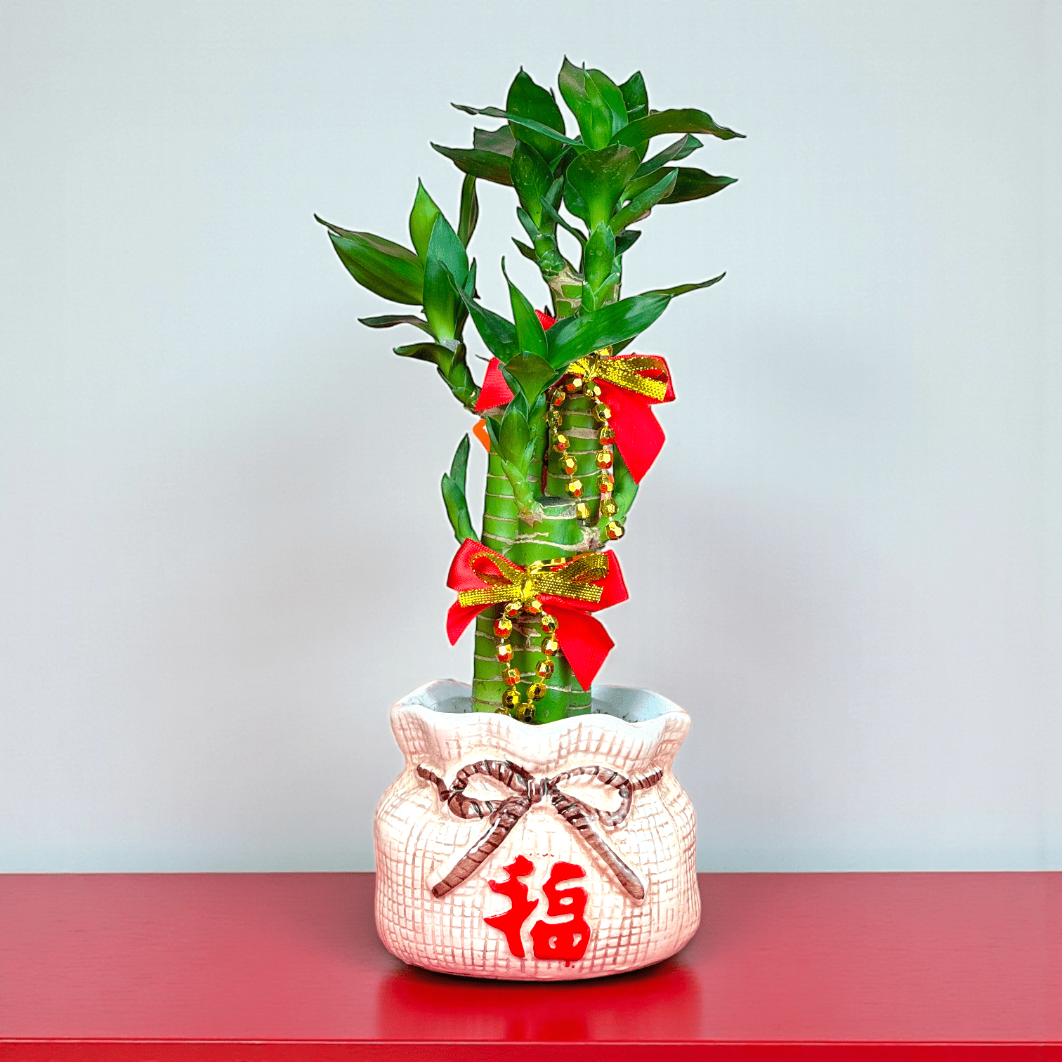 lucky bamboo for chinese new year CNY GF10 Lucky Bamboo in Beige Pot