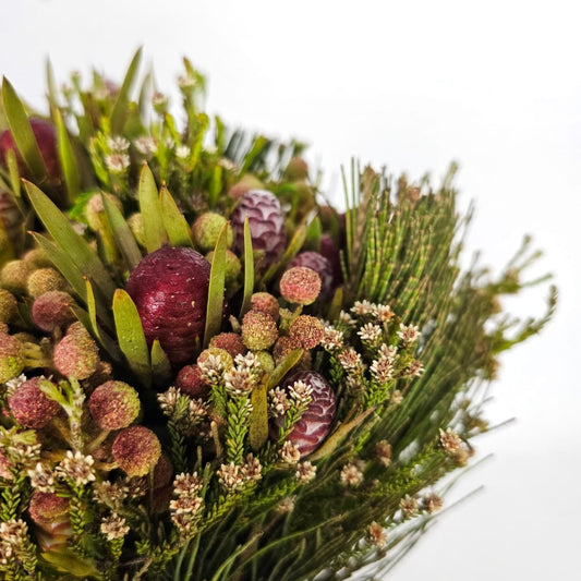 Fresh Cut Flowers at Floristika