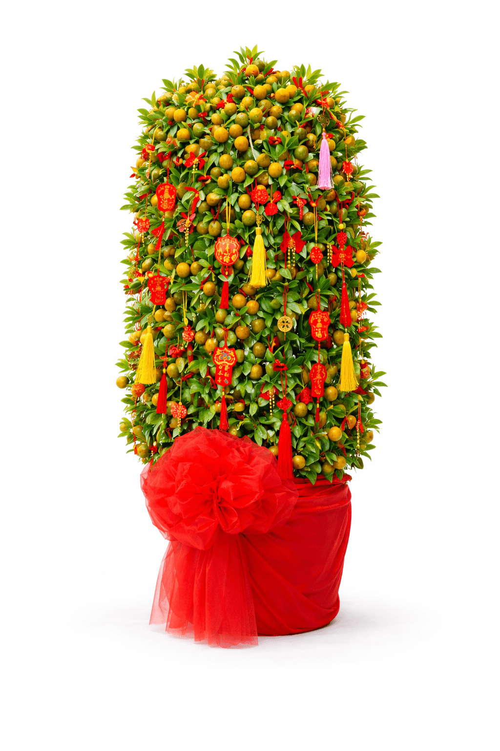 Pot Lime Tree No. 3 (3ft)