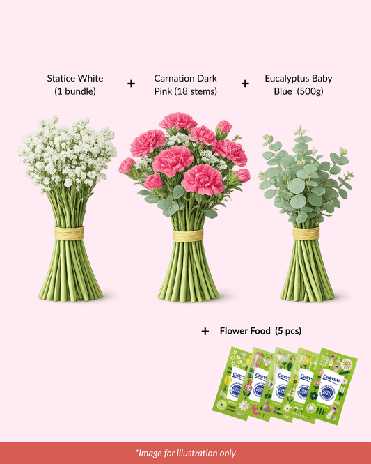 FCMMD01 - Carnation, Statice, Eucalyptus & Flower Food