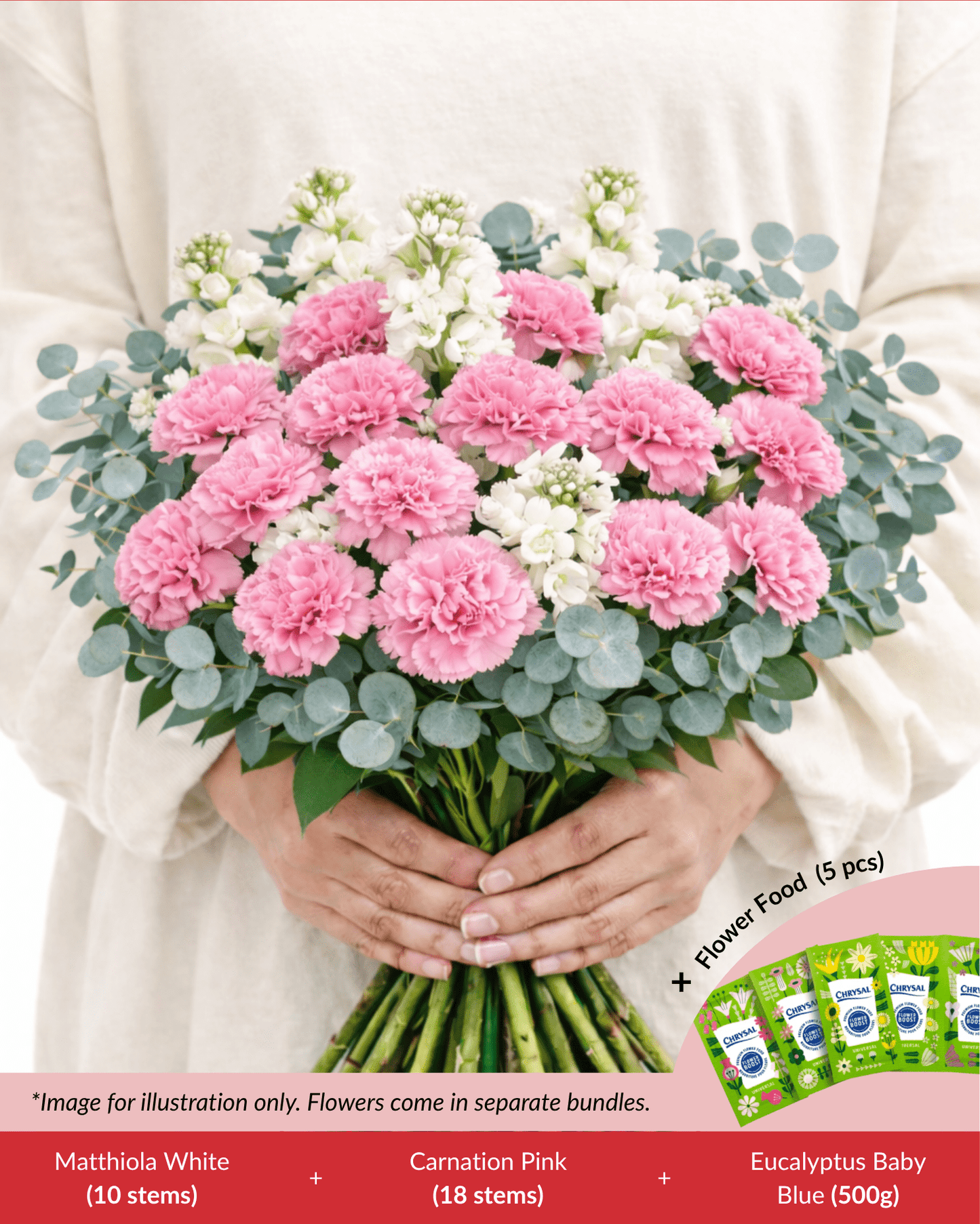 FCMMD02 - Carnation, Matthiola, Eucalyptus & Flower Food