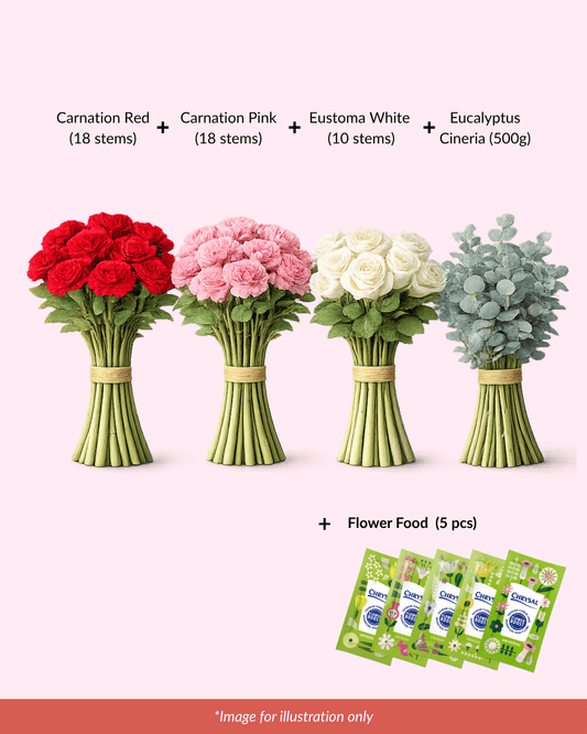 FCMMD08 - Carnation, Rose, Eucalyptus & Flower Food