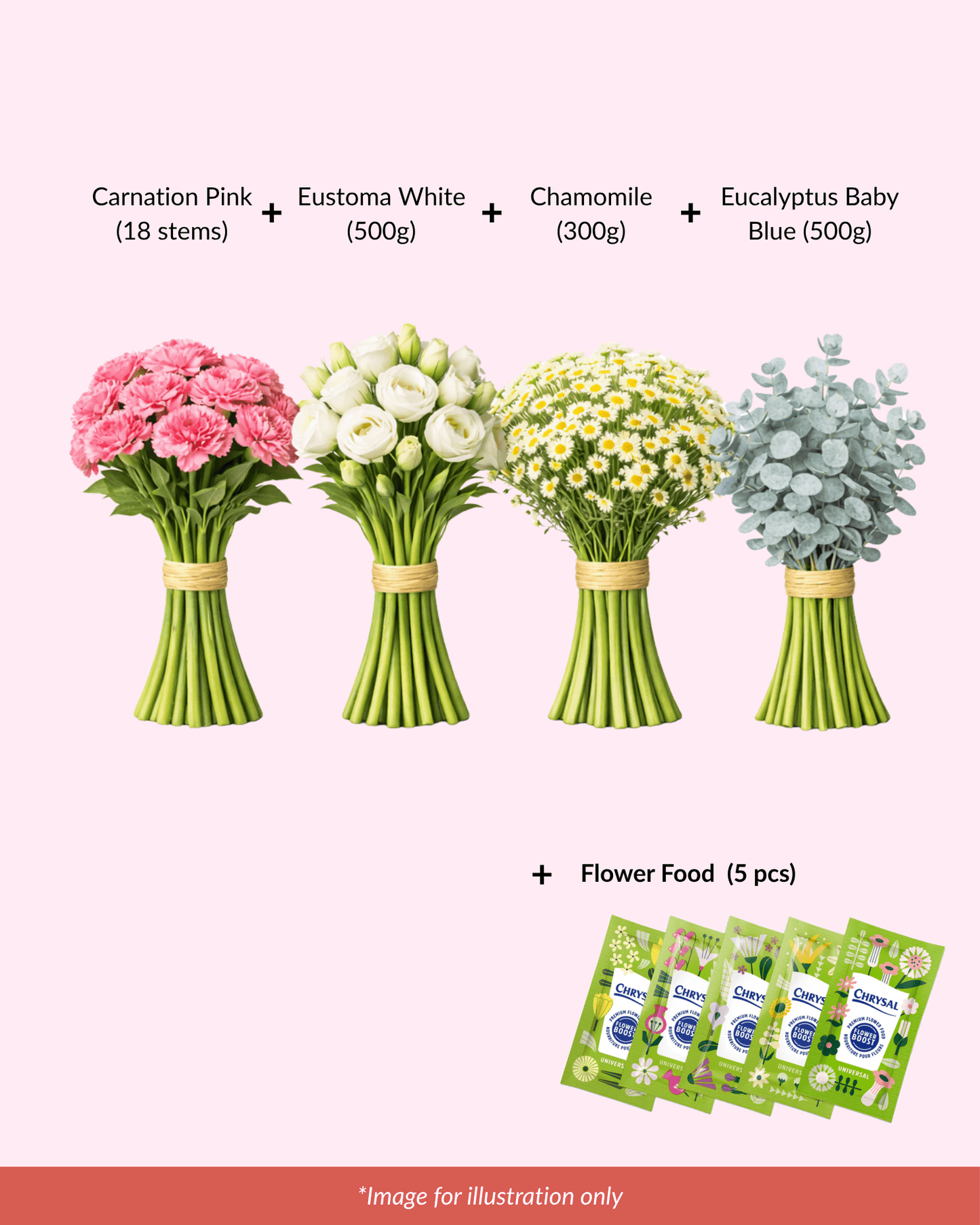FCMMD10 - Carnation, Eustoma, Chamomile, Eucalyptus & Flower Food