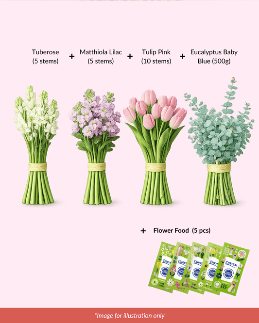 FCMMD13 - Tuberose, Matthiola, Tulip, Eucalyptus & Flower Food