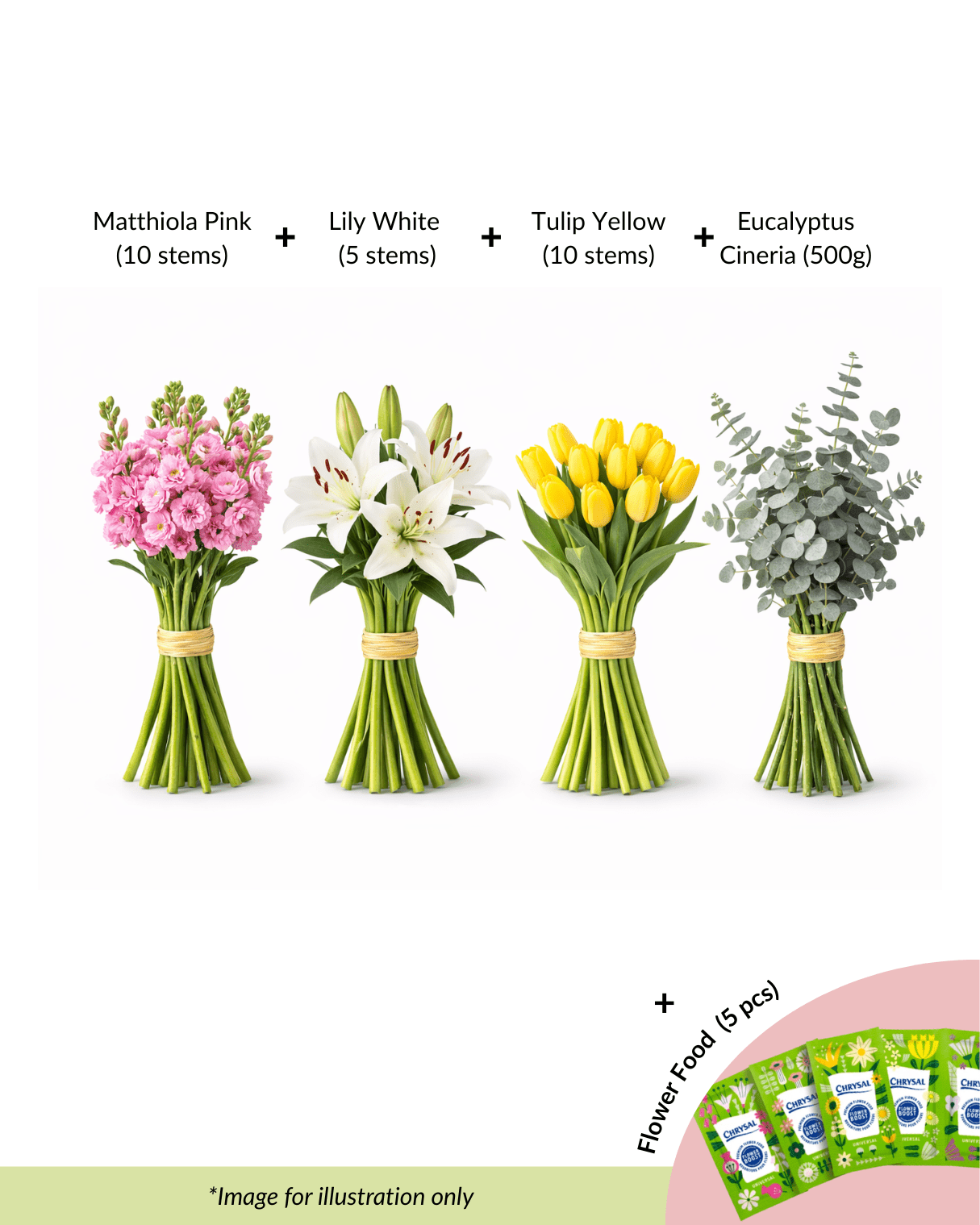 FCMRY16 - Matthiola, Lily, Tulip & Eucalyptus