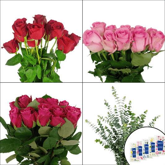 FCMVD13 - Roses & Eucalyptus