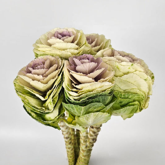 Fresh Cut Flowers at Floristika