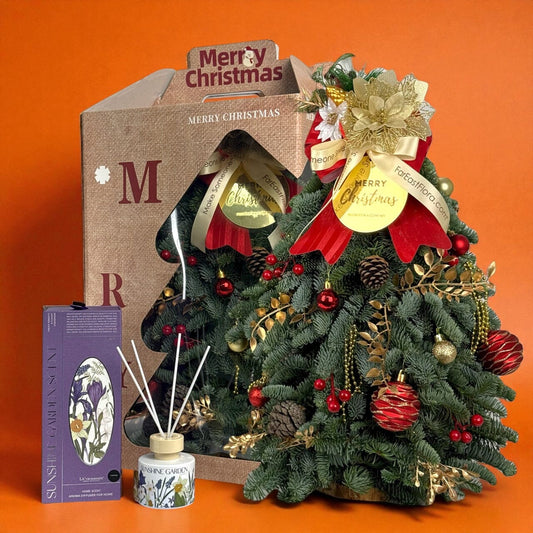 Mini Christmas Tree with Decoration (50cm) Reed Diffuser Gift Set