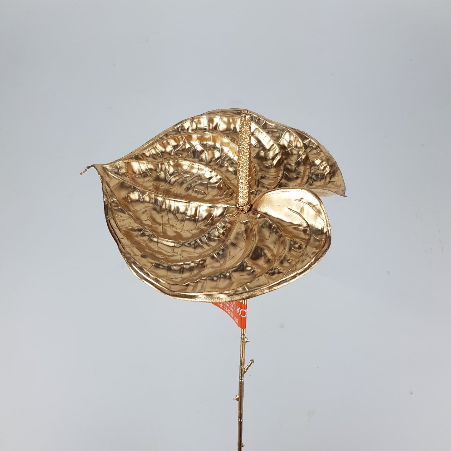 Artificial Anthurium Gold