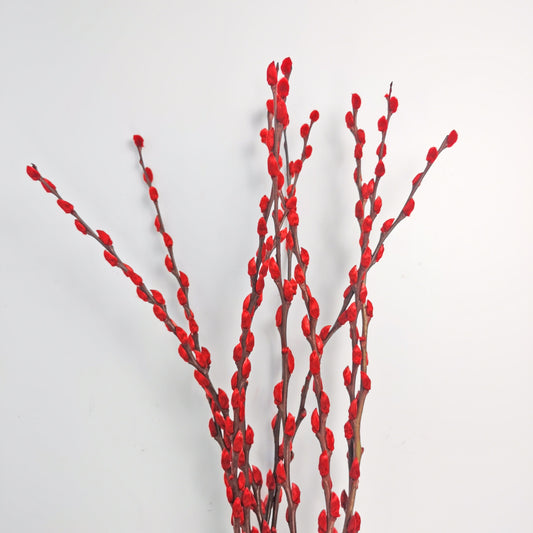 Pussy Willow - Red (6ft)