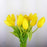 Tulip (Imported) - Yellow