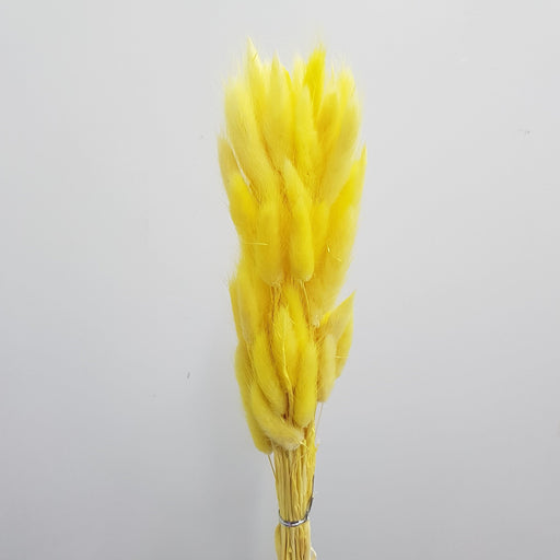 Preserved Rabbit Tail (Imported) - Yellow