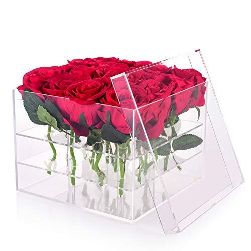 Crystal Box 25 Hole (Imported) - Transparent