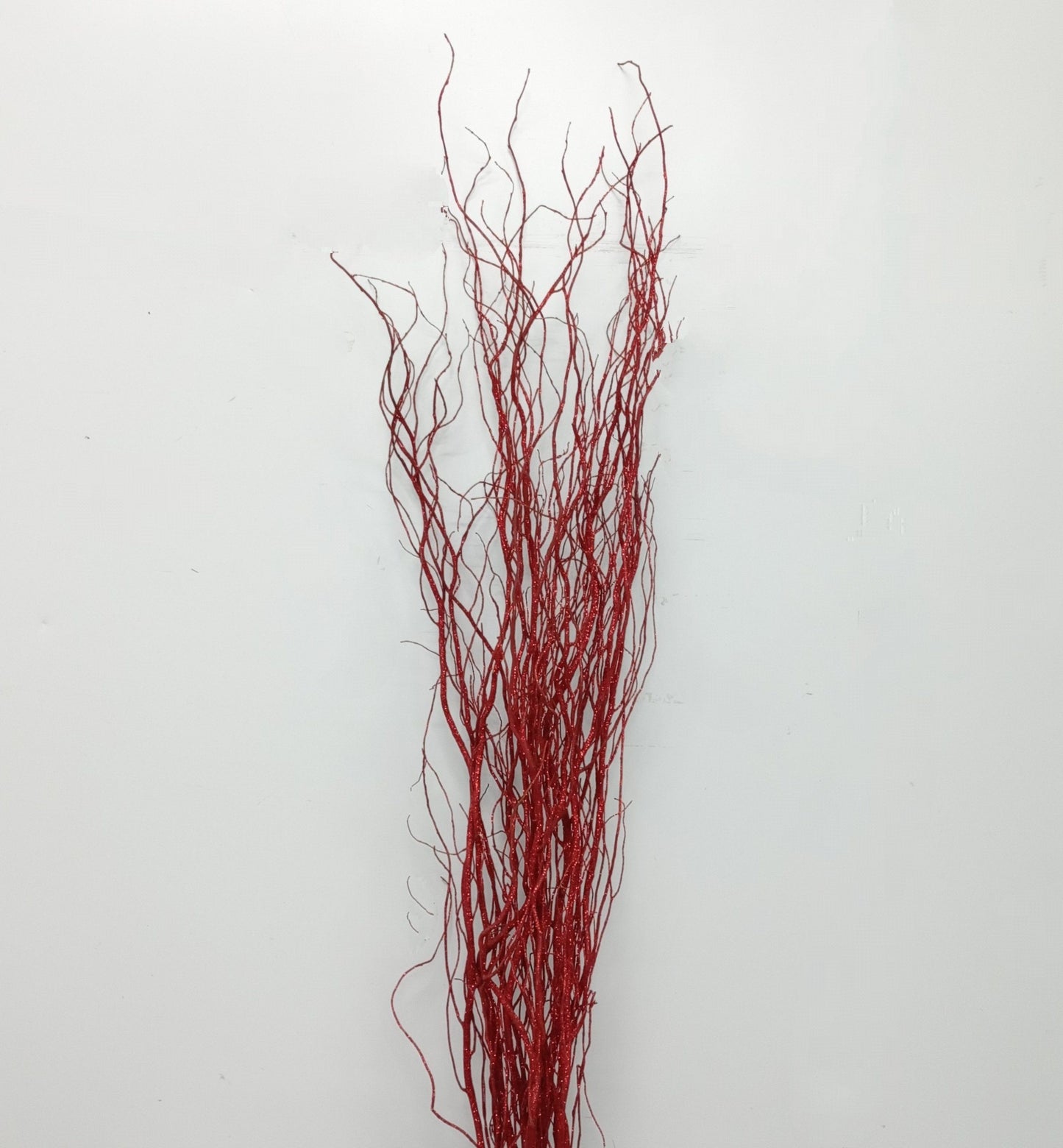 Salix 1.5 Metre (Imported) - Red