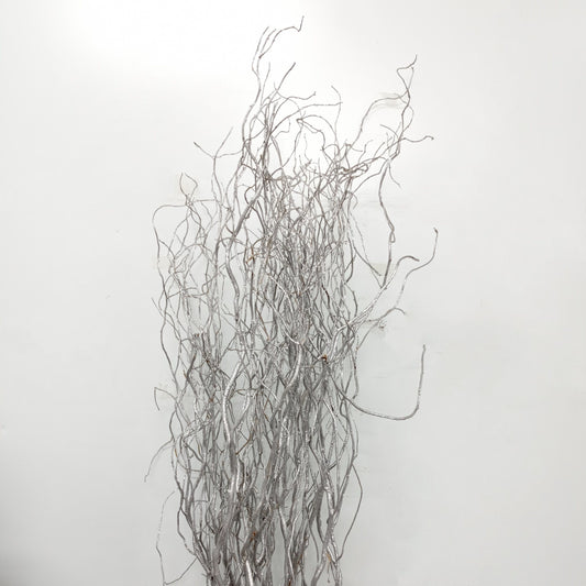 Salix 1.5 Metre (Imported) - Silver