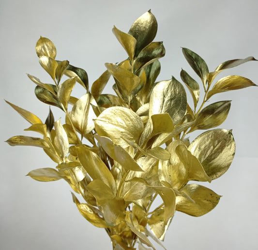 Ruscus Painted Mix (Imported) - Mix