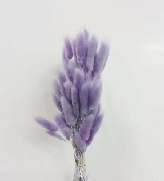 Bunny Tail - Purple