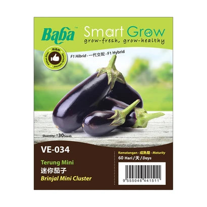 BABA Vegetable Seeds - Brinjal Mini Cluster