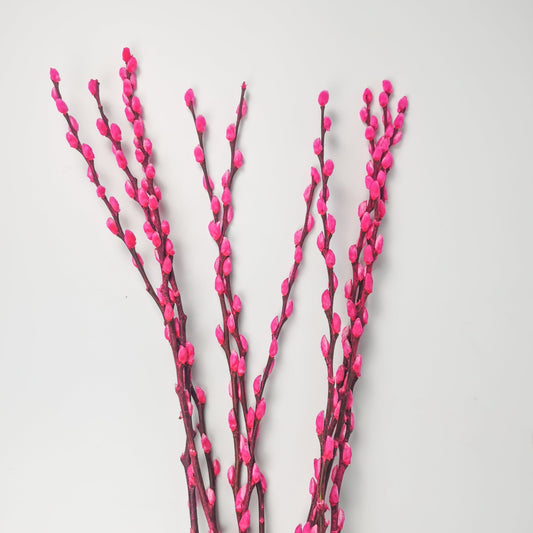 Pussy Willow 6Ft - Sweet Pink (9-10 Stalks)