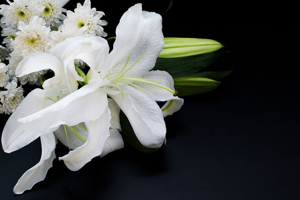 A photograph of large white lilies and a small cluster of white chrysanthemums with green buds