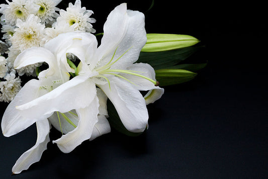 A photograph of large white lilies and a small cluster of white chrysanthemums with green buds