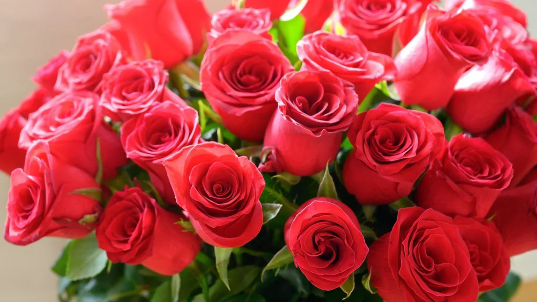 Lush red rose bouquet.