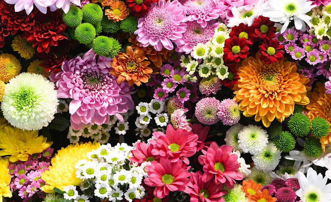 Vibrant fresh cut flowers in shades of pink, yellow, and green, symbolizing prosperity and luck for CNY