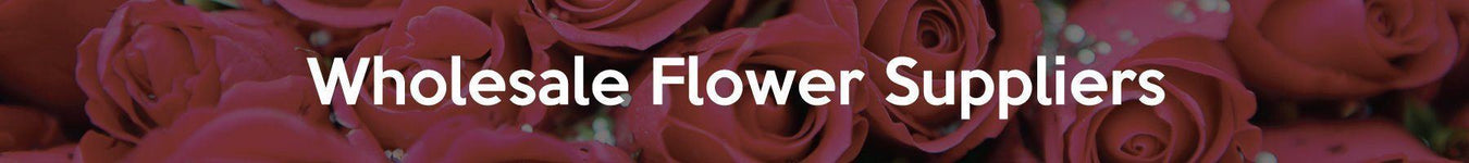 Wholesale Flower Suppliers Malaysia - Widest Range oF Fresh Cut Flowers