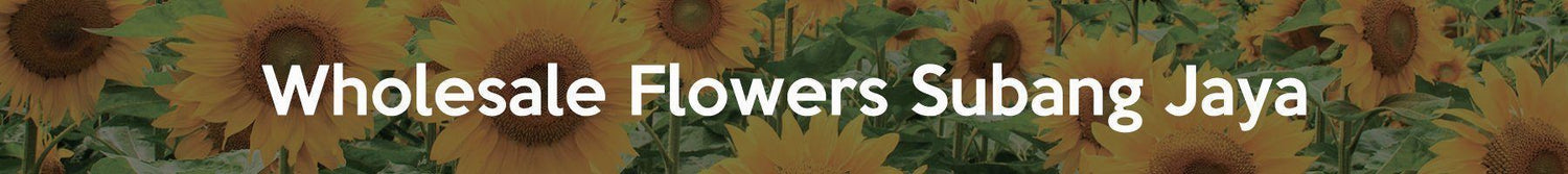 Wholesale Flowers Subang Jaya - Leading Flower Supplier