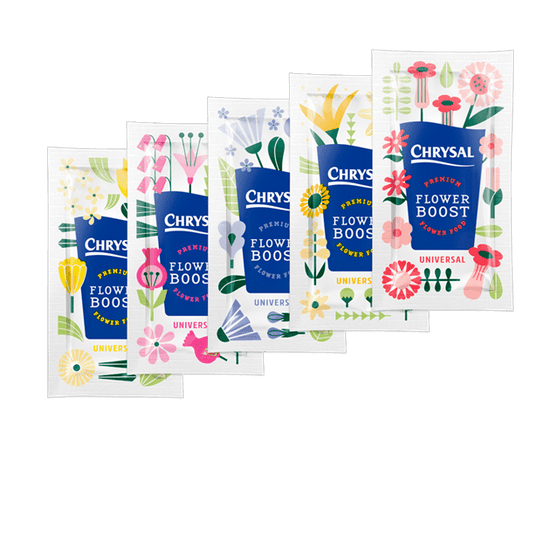 Chrysal Flower Food (5 Pcs) – Floristika.com.my