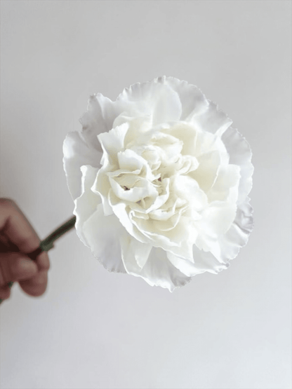 Mother's Day Carnation - White (18-20 Stems)