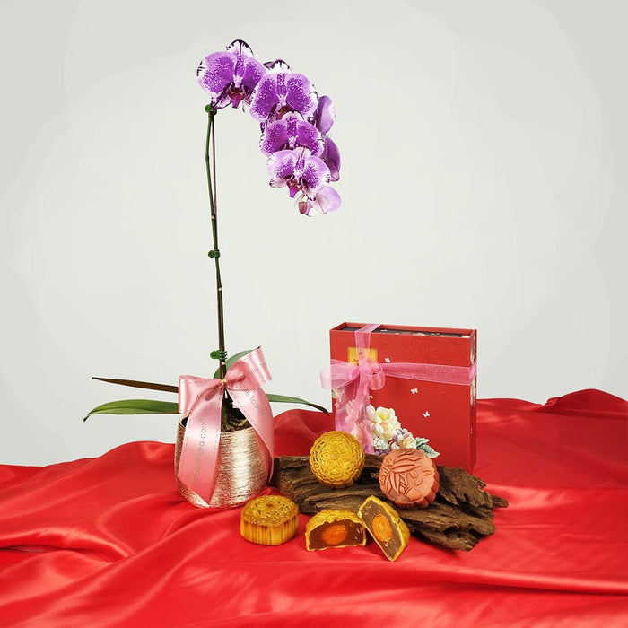 Harmony in Bloom - Phalaenopsis and Baker's Cottage Mooncake Set