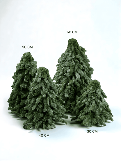 Mini Christmas Tree - Nobilis Fir (30cm)