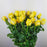 Rose (Imported) - Yellow [10 Stems]