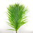 Yellow Palm Leaf 60cm (Imported)