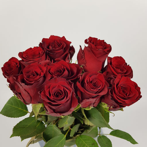 Rose 50cm (Imported) - Red