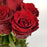 Rose Upper Class 40cm (Imported) - Red