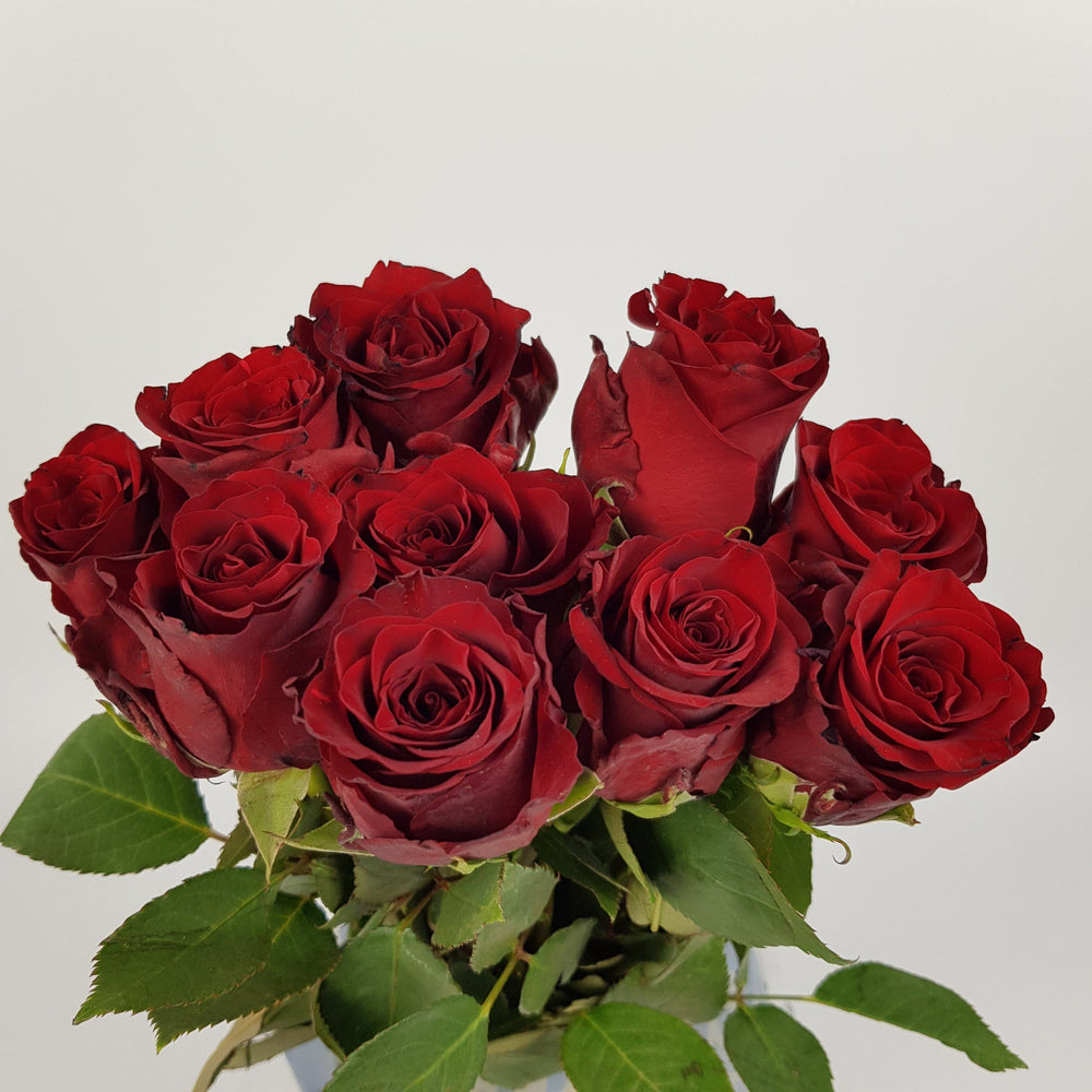 PRE-ORDER Valentine's Rose 50cm  - Red (10 Stems)