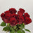 Rose Upper Class 50cm (Imported) - Red