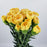 PRE-ORDER Carnations (Imported) - Champagne 20 Stems]