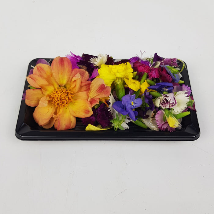 Edible Flowers Spring Medley (Per Box)