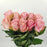 Rose 40cm Hermosa (Imported) - Pink [10 Stems]